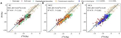 Contrasting water-use patterns of Chinese fir among different plantation types in a subtropical region of China